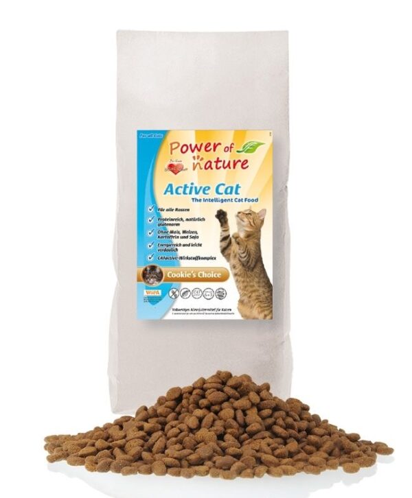 Active Cat Cookies Choice