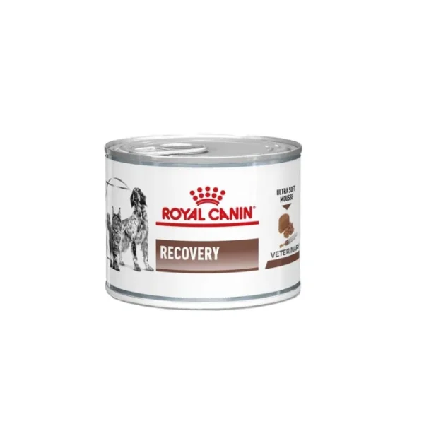 Royal Canin Veterinary Diets Gastrointestinal Recovery Ultra Soft Mousse kissoille ja koirille märkäruoka 195 g