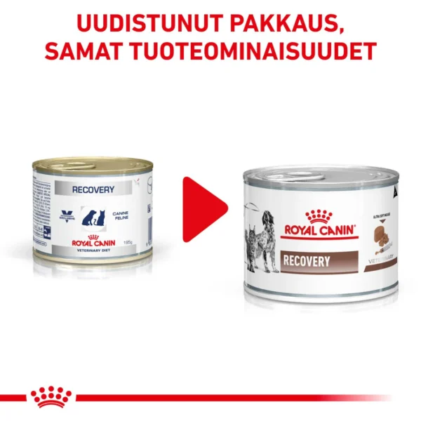 Royal Canin Veterinary Diets Gastrointestinal Recovery Ultra Soft Mousse kissoille ja koirille märkäruoka 195 g - Image 5