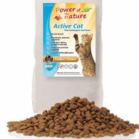 Ilmainen näyte Active Cat Cookie's Choice kuivaruoasta
